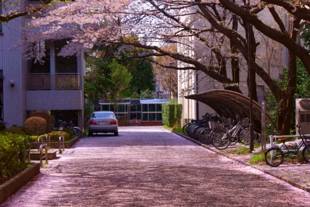 電気通信大学のキャンパス